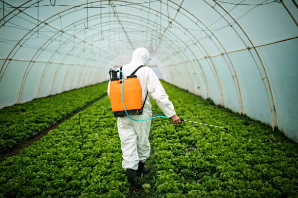 Best Best Pest Control Companies  in Fort Meade, FL