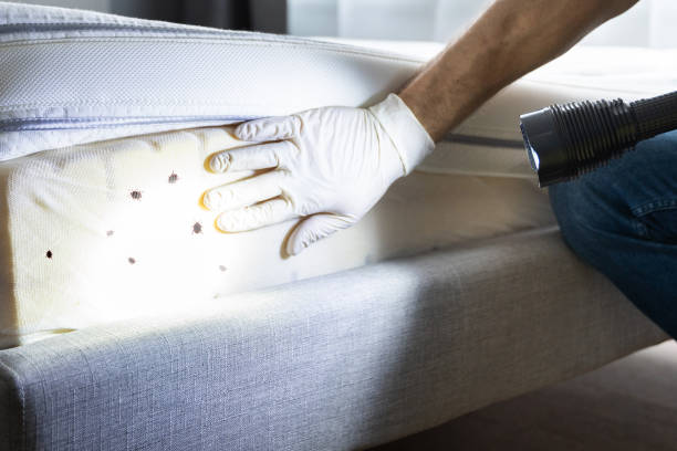 Fort Meade, FL Pest Control Company
