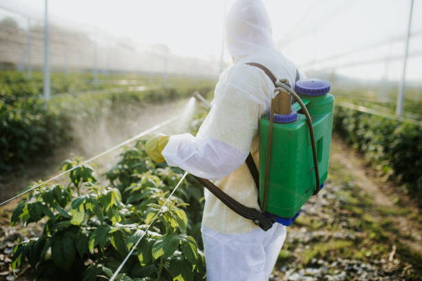 Best Pest Removal Services  in Fort Meade, FL